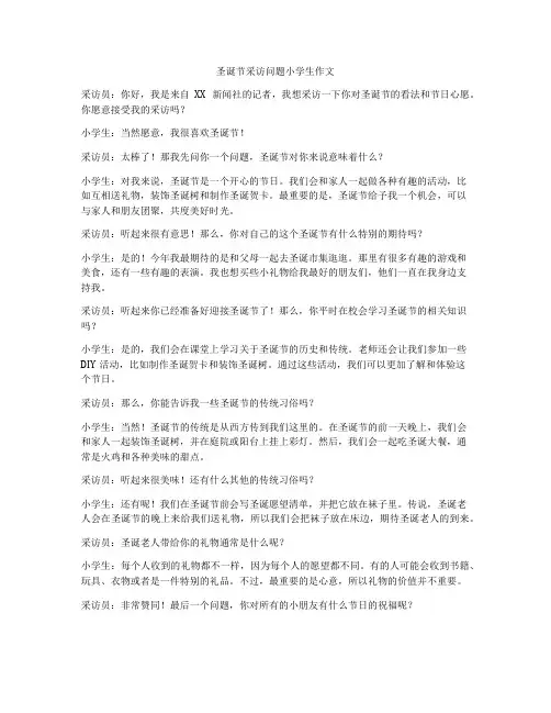 圣诞节采访问题小学生作文