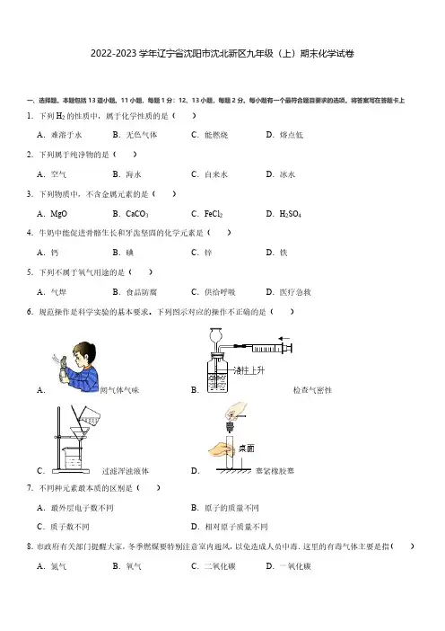 2022-2023学年辽宁省沈阳市沈北新区九年级(上)期末化学试卷