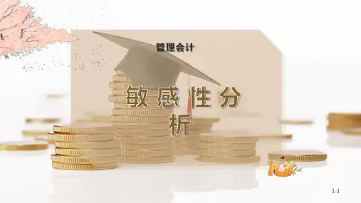 敏 感 性 分 析
