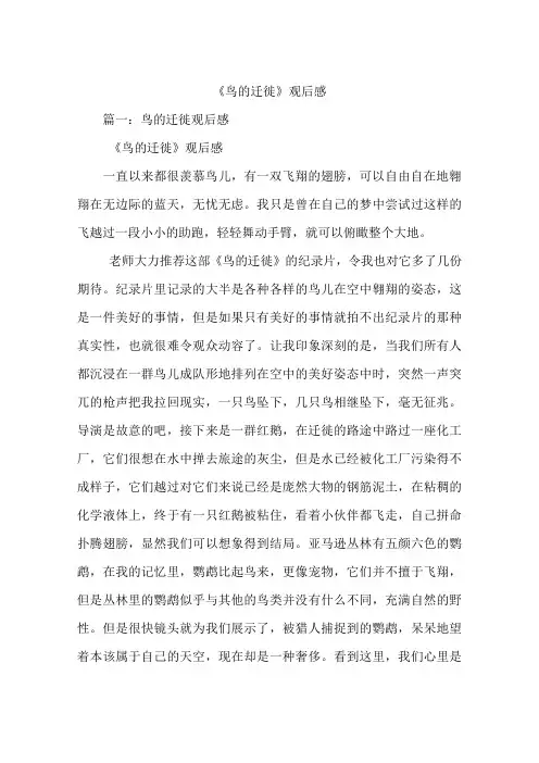 《鸟的迁徙》观后感