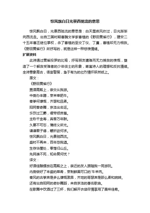 惊风飘白日光景西驰流的意思