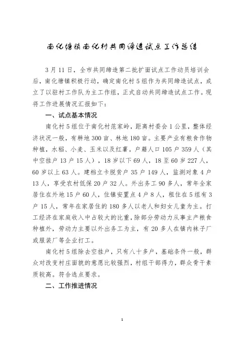 南化村共同缔造试点工作总结