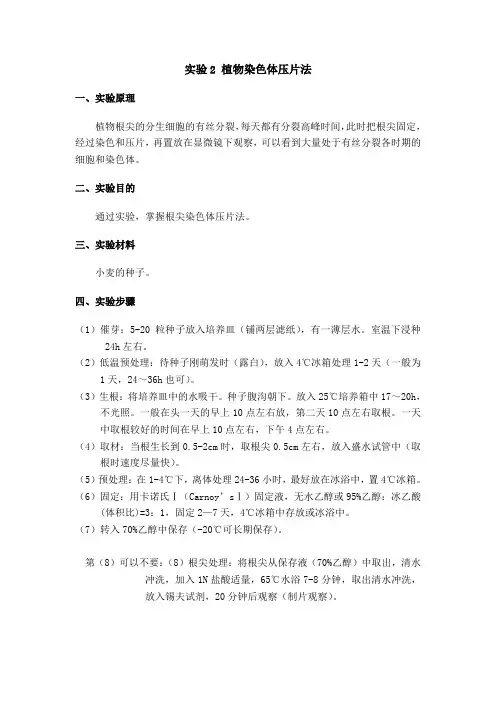根尖压片实验(使用)