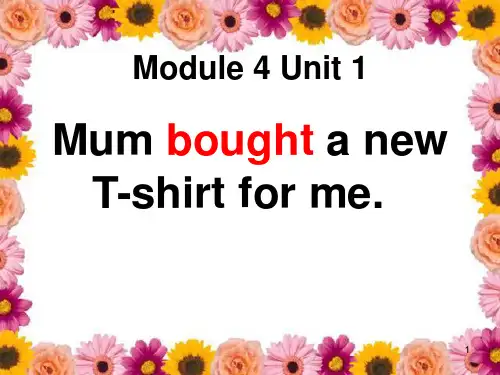 《Mum bought a new T-shirt for me》PPT课件3