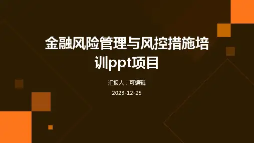 金融风险管理与风控措施培训ppt项目 (2)