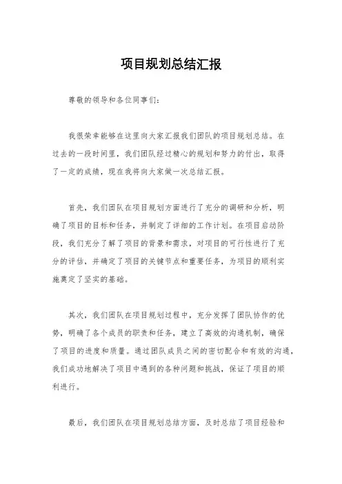 项目规划总结汇报