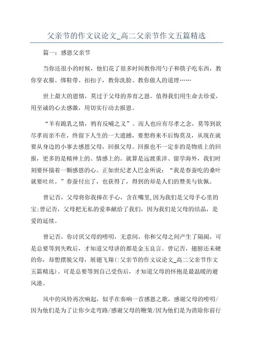 父亲节的作文议论文_高二父亲节作文五篇精选