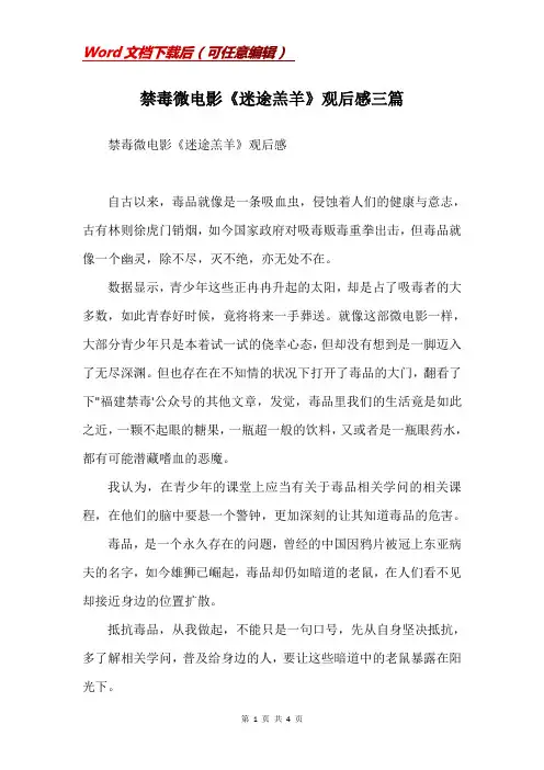禁毒微电影《迷途羔羊》观后感三篇