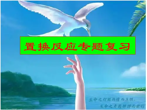 第2章物质转化与材料利用(置换反应)专题复习(PPT课件(初中科学)18张)