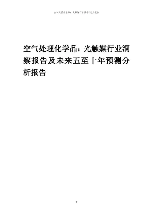 2023年空气处理化学品：光触媒行业洞察报告及未来五至十年预测分析报告