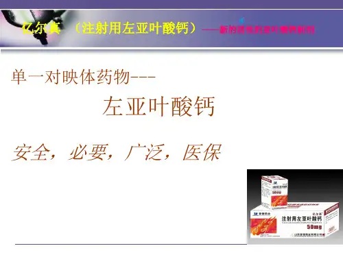 左亚叶酸钙.ml幻灯片