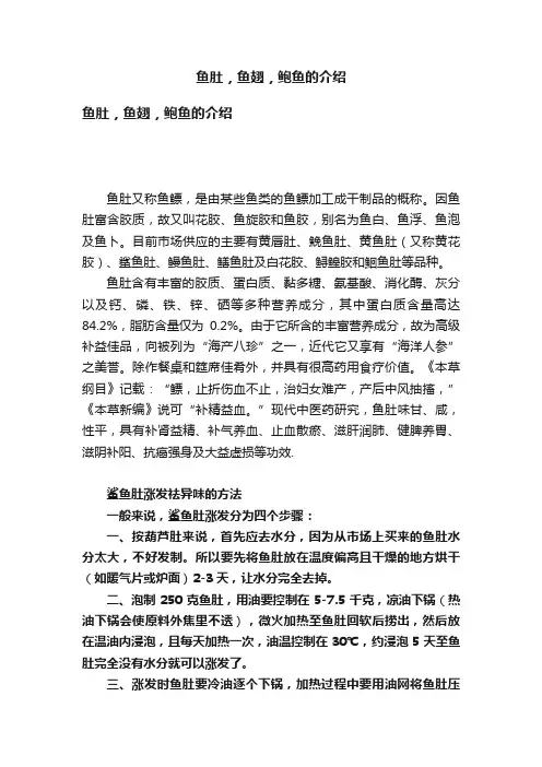 鱼肚，鱼翅，鲍鱼的介绍