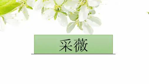 人教版必修二高一《采薇》课件(共26张PPT)