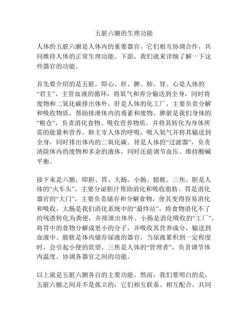 五脏六腑的生理功能