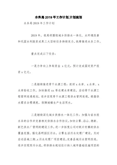 水务局2019年工作计划,计划规划【精品范文】