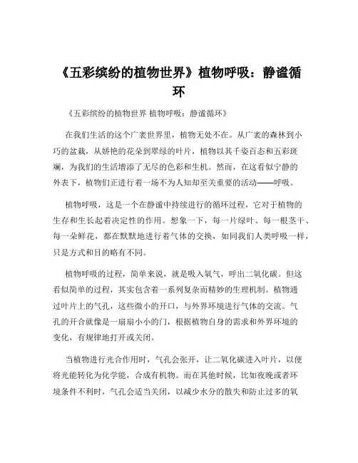 《五彩缤纷的植物世界》植物呼吸：静谧循环