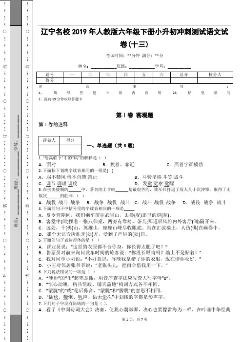 _辽宁名校2019年人教版六年级下册小升初冲刺测试语文试卷(十三)