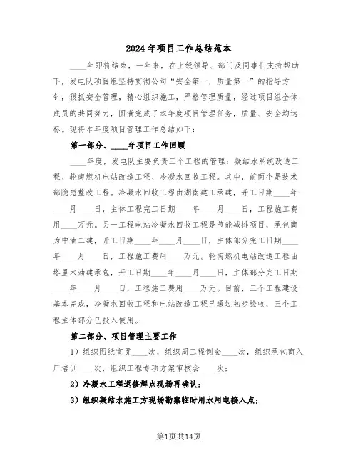 2024年项目工作总结范本(四篇)
