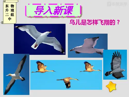 人教版八年级物理下册《9.4.流体压强与流速关系》课件