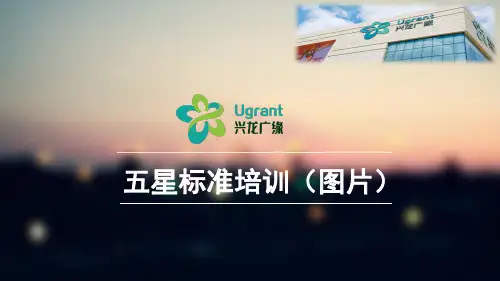五星标准培训(图片版).ppt