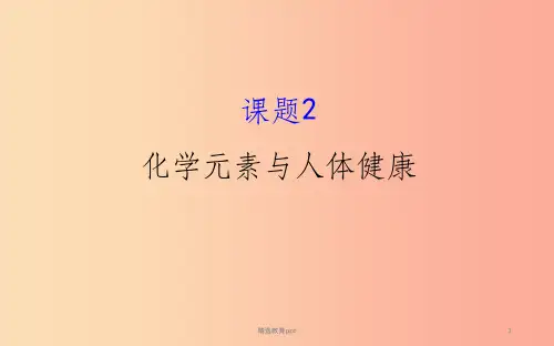 2019版九年级化学下册 第十二单元 化学与生活 12.2 化学元素与人体健康教学课件  新人教版