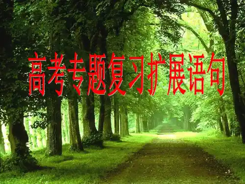 高考专题复习扩展语句PPT课件