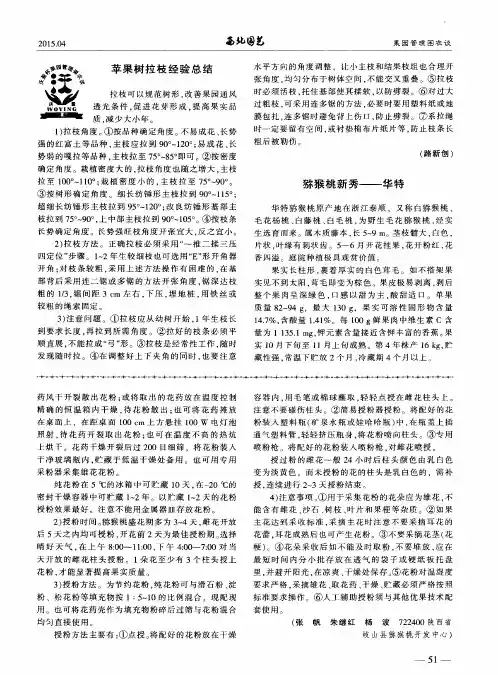 苹果树拉枝经验总结