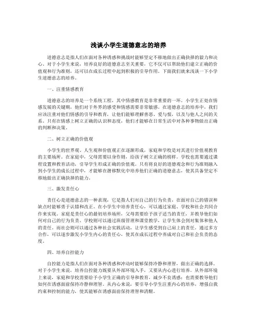浅谈小学生道德意志的培养