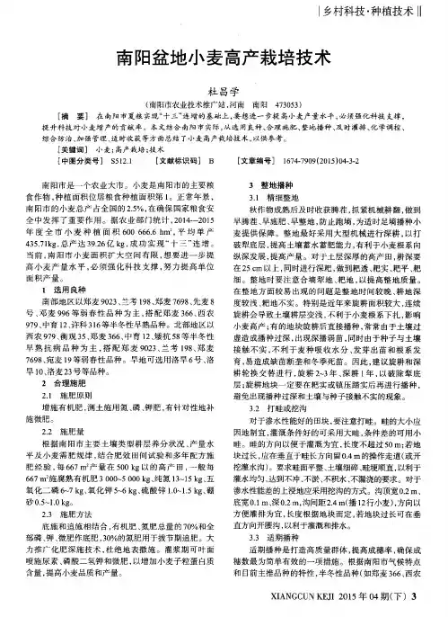 南阳盆地小麦高产栽培技术