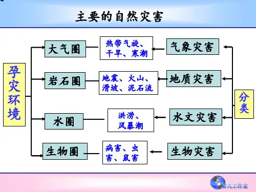 各种自然灾害PPT课件