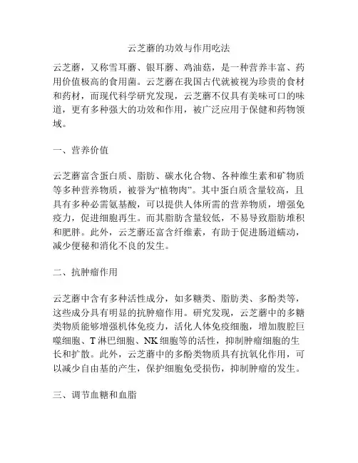 云芝蘑的功效与作用吃法