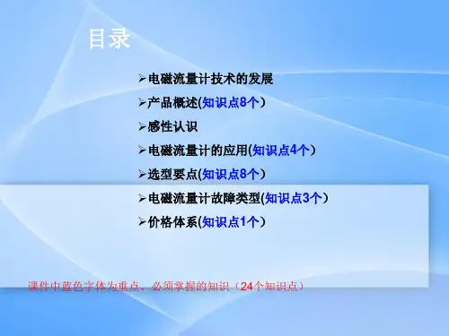 电磁流量计培训资料PPT课件