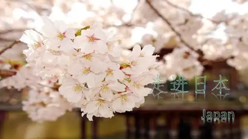 走进日本
