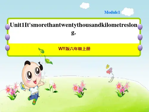 外研版六年级上册英语Module1 Unit 1 It's more than twent作业课件 