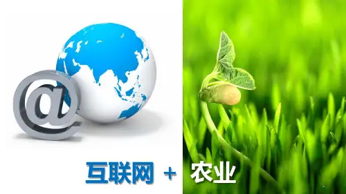 智能农业监控与农产品溯源