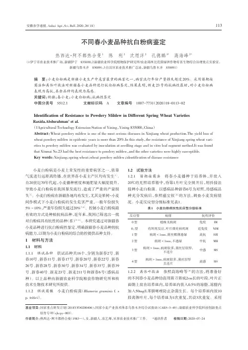不同春小麦品种抗白粉病鉴定