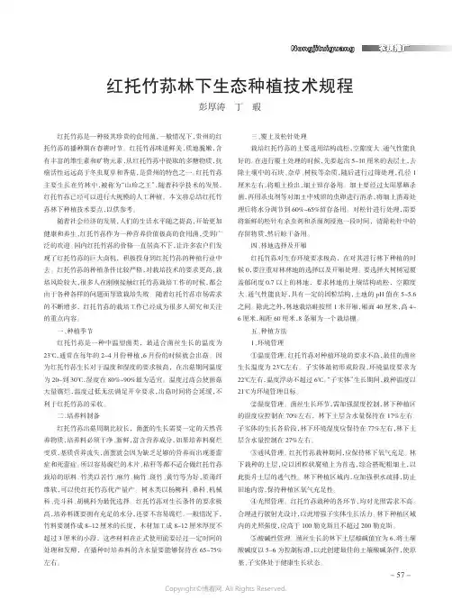 红托竹荪林下生态种植技术规程