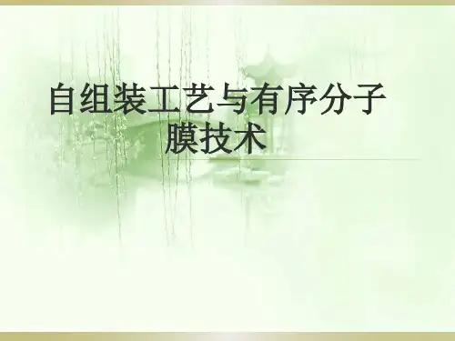 自组装工艺