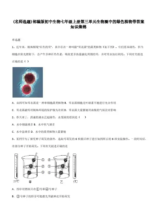 部编版初中生物七年级上册第三单元生物圈中的绿色植物带答案知识集锦