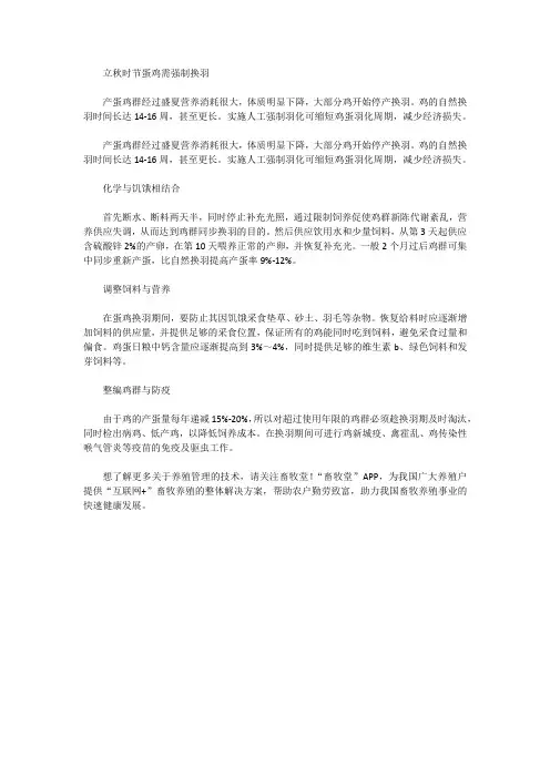 立秋时节蛋鸡需强制换羽