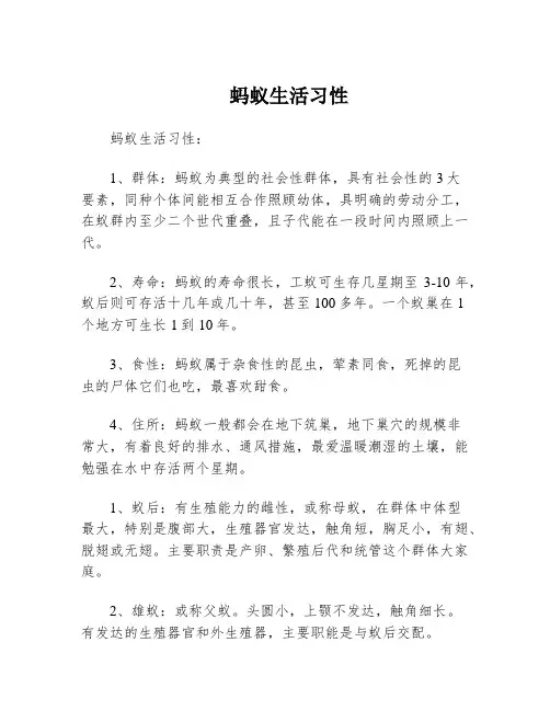 蚂蚁生活习性