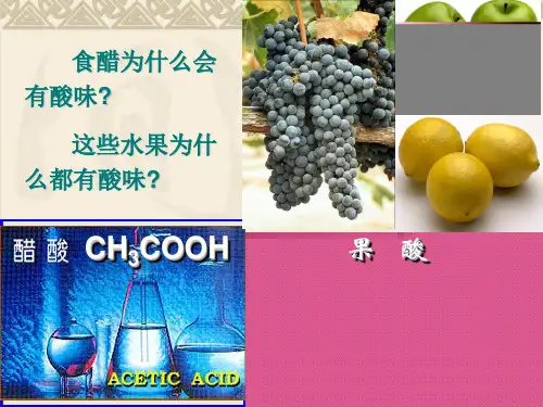 人教十单元课题1常见的酸和碱ppt