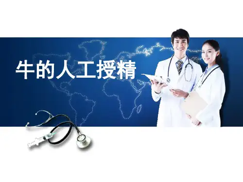 牛的人工授精