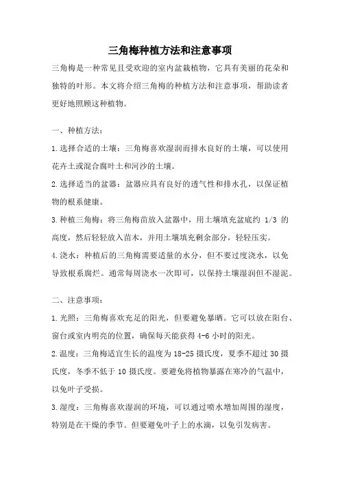 三角梅种植方法和注意事项