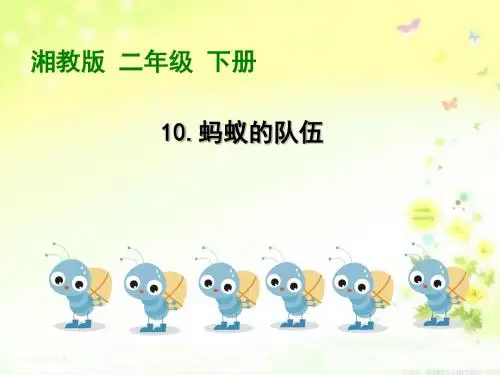 《蚂蚁的队伍》PPT课件 (共17张PPT)