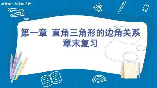 第1章 直角三角形的边角关系 北师大版数学九年级下册章末复习课件(53张PPT)