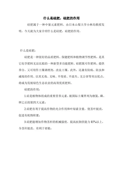 什么是硅肥,硅肥的作用.doc