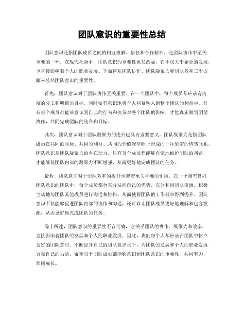 团队意识的重要性总结