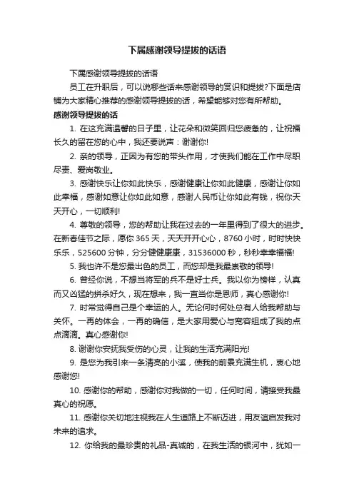 下属感谢领导提拔的话语