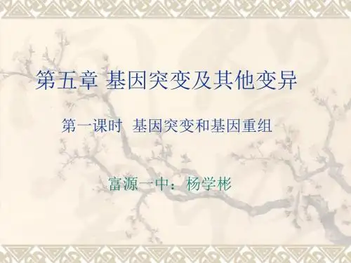 高三生物一轮复习基因突变和基因重组